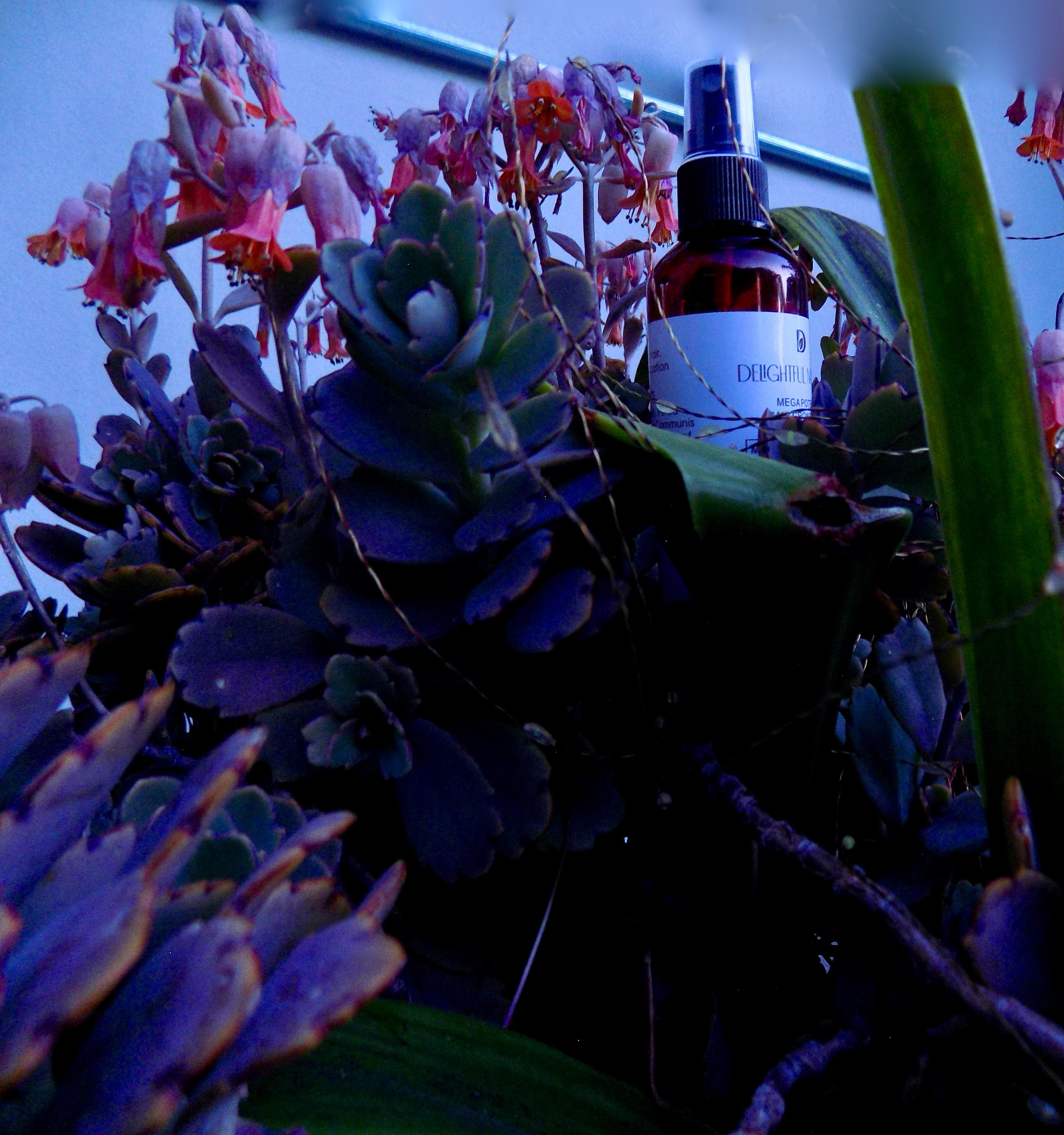 Delightful Naturals Hair Oil bottle - natural hair growth treatment